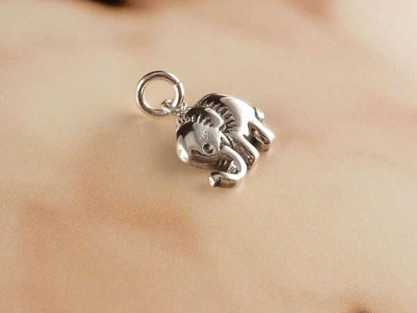 Anhänger 925 Silber Elefant – Bild 4